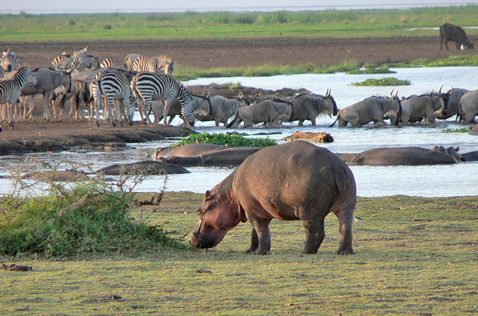 Lake Manyara